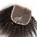 Stema Hair HD 4X4 5X5 6X6 7X7 Lace Closure Kinky Curly Virgin Hair